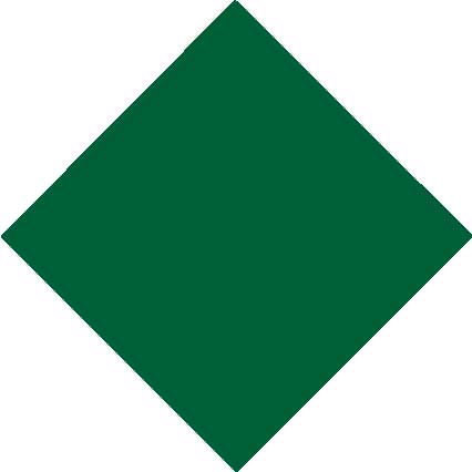 RAL <br> 6005